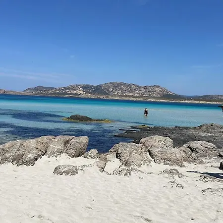 I Pescatori Di Stelle-l2 Avior Stintino