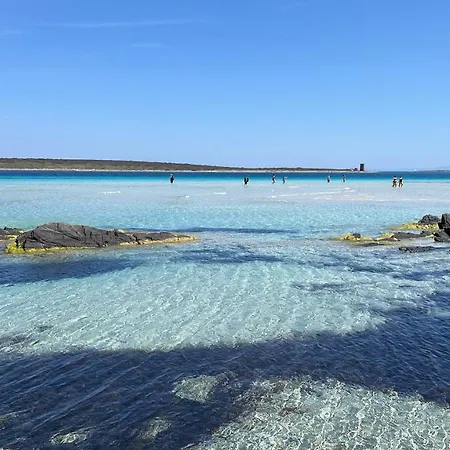 I Pescatori Di Stelle-l2 Avior