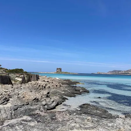 I Pescatori Di Stelle-l2 Avior