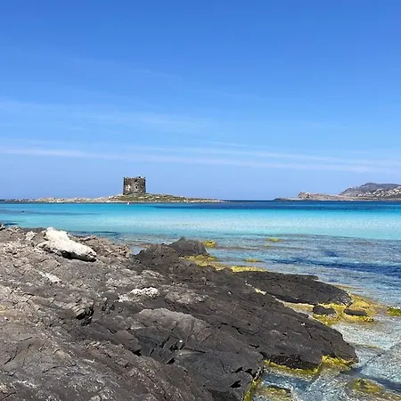I Pescatori Di Stelle-l2 Avior * Stintino
